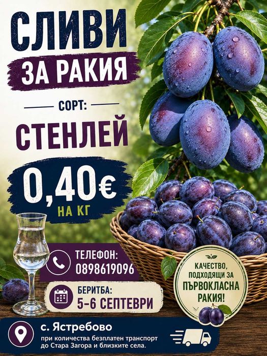 Продавам сини сливи за ракия сорт Стенлей
