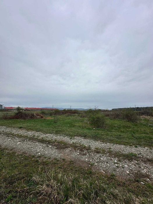 Teren intravilan industrial 5000 mp