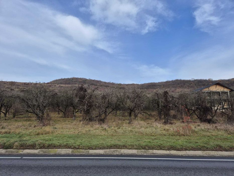 teren INTRAVILAN  9 880 mp, front 63m BACIU, pt 16 case