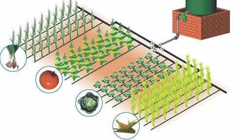 Капково Напояване – Икономично и Ефективно Решение за Вашата Градина!