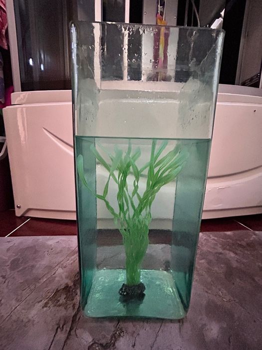 Аквариум-20 литров