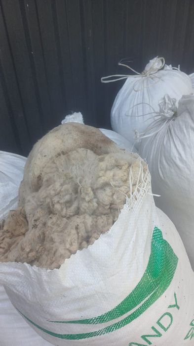 Продам шерсть овечью