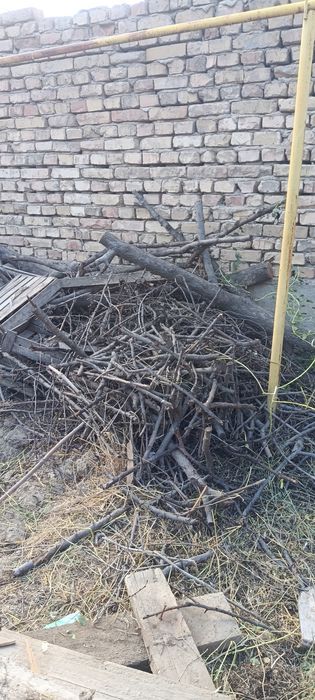 Отын дрова жарылған