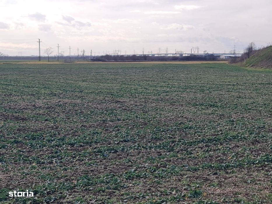 Teren de Vânzare Vladimirescu 7200 mp,2 fronturi stradale,218m.liniari