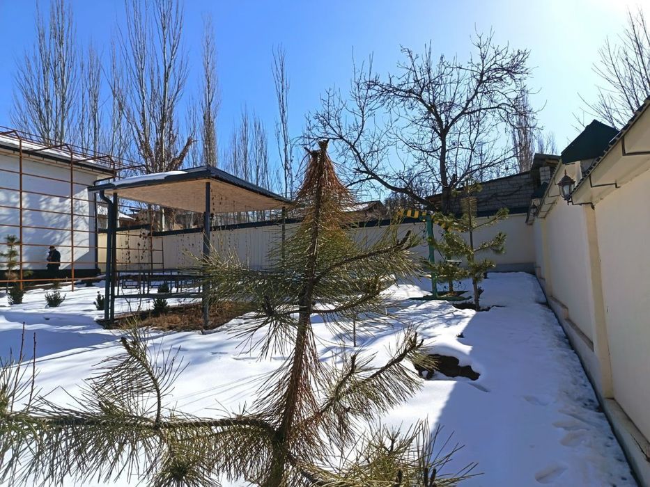 Paekentda Uchastka sotiladi