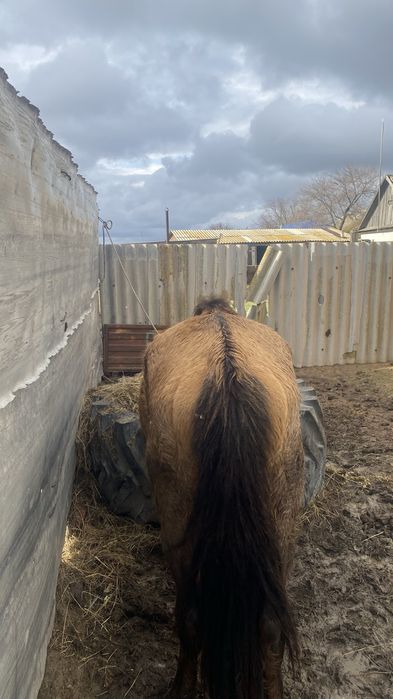 Сатылады срочно…