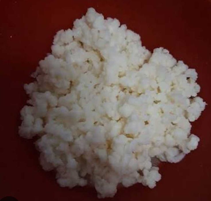 Grăunțe de kefir