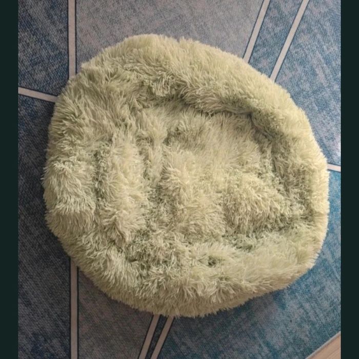 Set 3 patuturi pisici sau catei