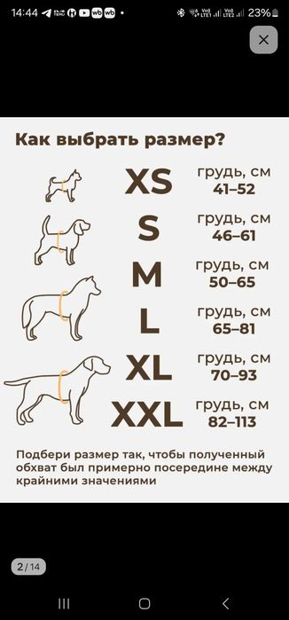 Шлейка для собак и кошек.