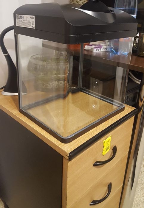 Acvariu sticla colectie cu capac