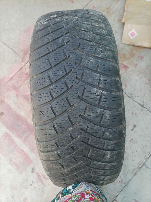 Шины DUNLOP 2 штуки