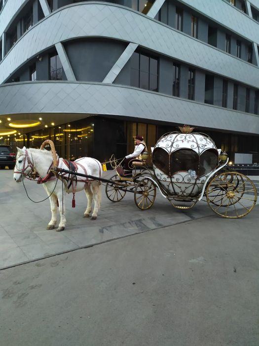 свадебная карета