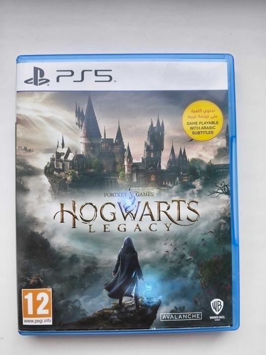 Хогвартс. Наследие / Hogwarts Legacy PS5