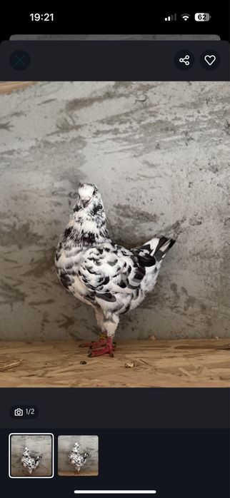 Vand sau schimb  King serie noua exemplare deosebite