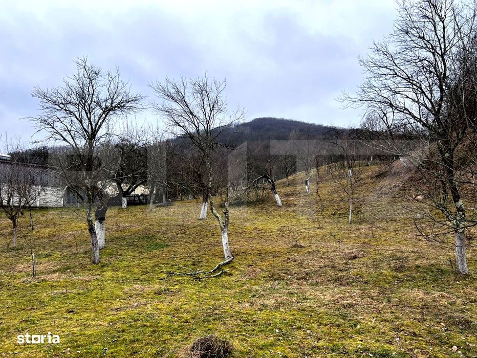 Teren intravilan 3.709 mp,  Stremt