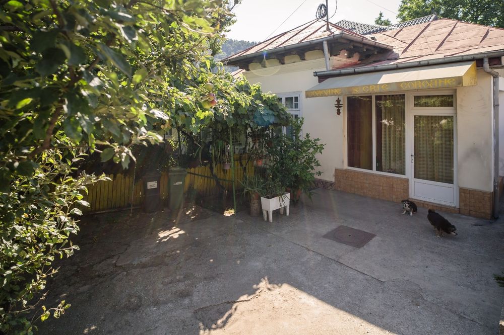 Casa de vanzare Precista