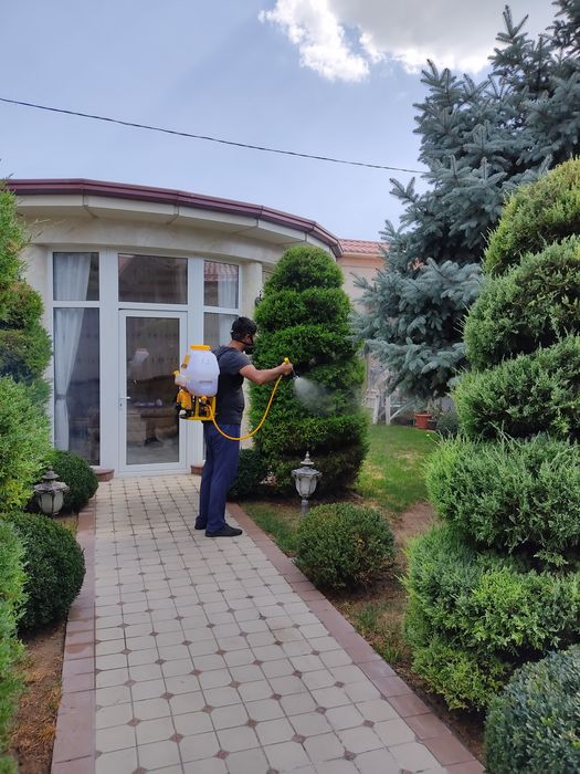 Archa kesaman doriliman