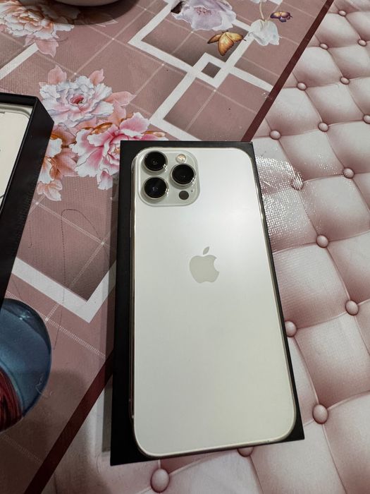 iPhone 13 Pro Max ideal