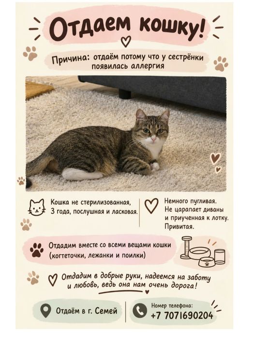 Отдадим кошку в хорошие руки