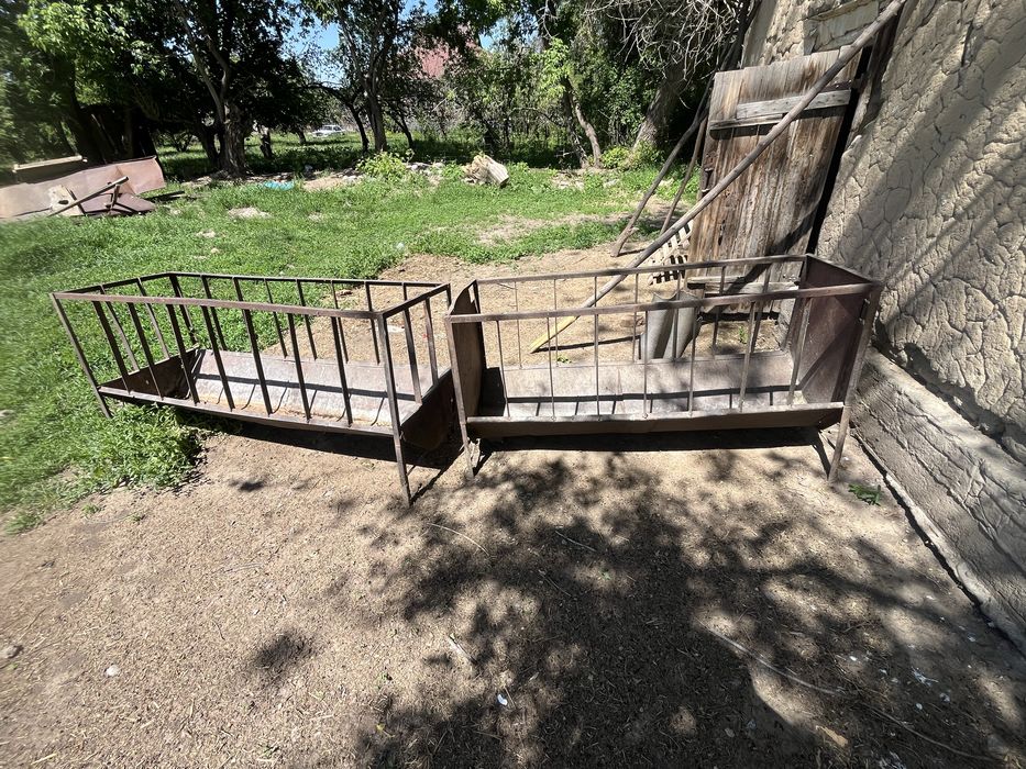 Кормушки, бараны, корм бараны