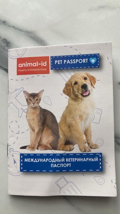Продаю кошку шотланку