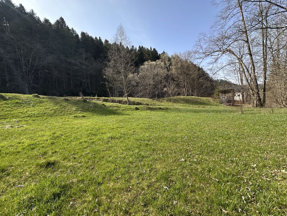 Vand 6888 mp in Putna Sv - ideal complex turistic / pensiune