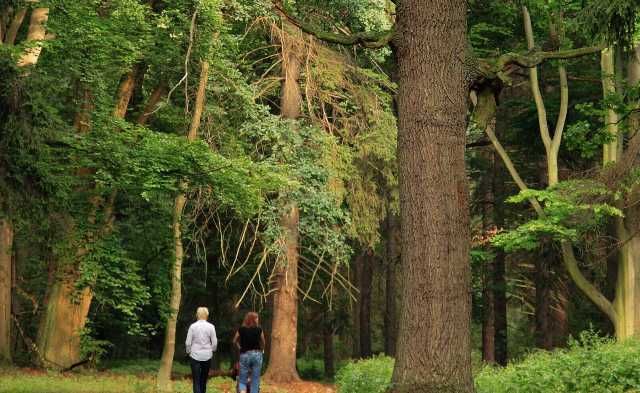 Продава се Двустаен апартамент в к.к. Св.Св. Константин и Елена - 57 кв.м за 1364 €/кв.м - Снимка #2