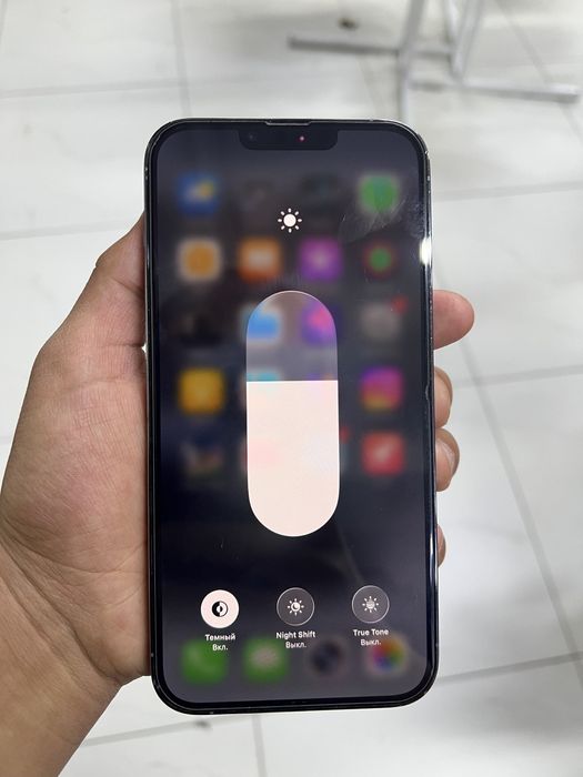 iPhone 13 Pro Max