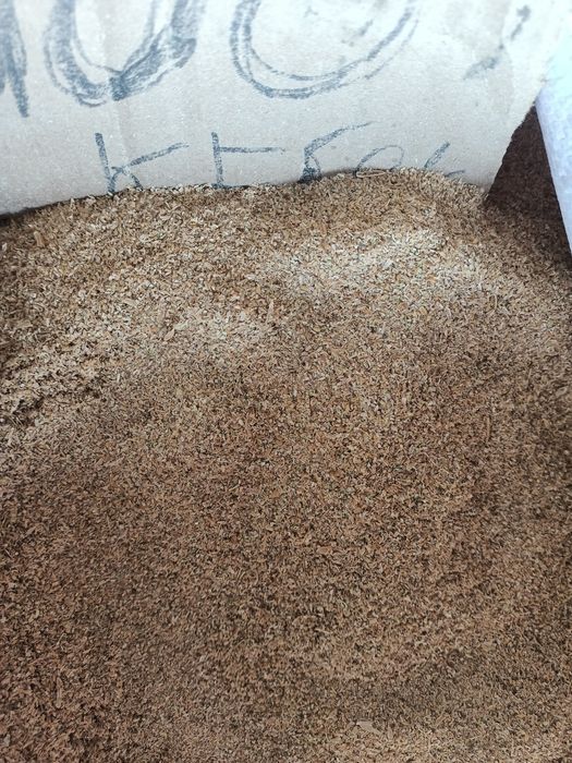 Кебек күріш күріш