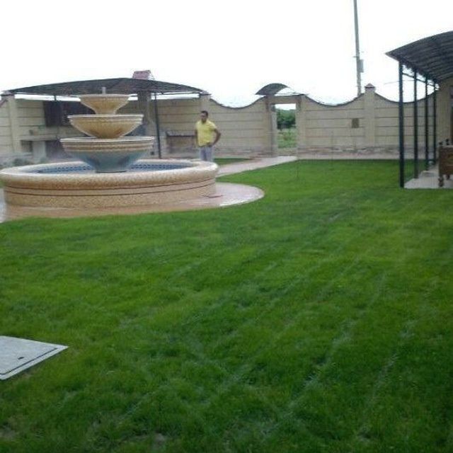 Газон уруг поливной система