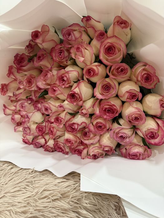 Продам свежие розы!