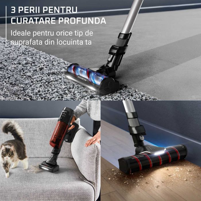 Aspirator Rowenta X-Force Flex 13.60