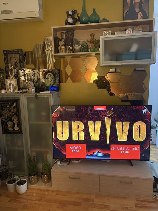 Raft suspendat la set