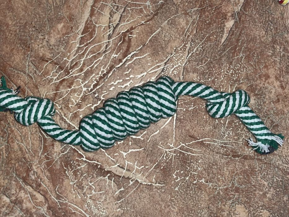 Игрушки для кошек собак