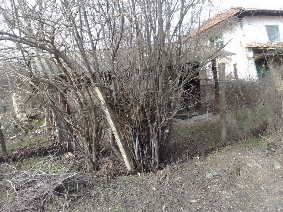 Продава се Парцел в с. Комарево, Област Варна - 930 кв.м за 14 €/кв.м - Снимка #7