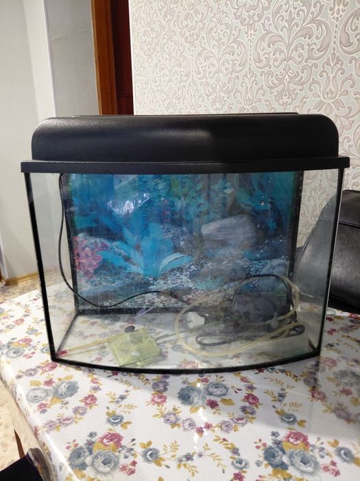 Продам аквариум хорошии ге дырявый