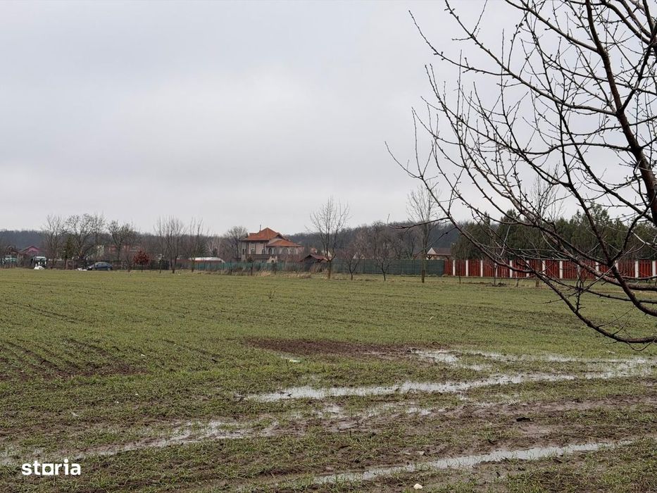 Teren Snagov - Cioflinceni | Drum amenajat | Aproape de Padure si Lac