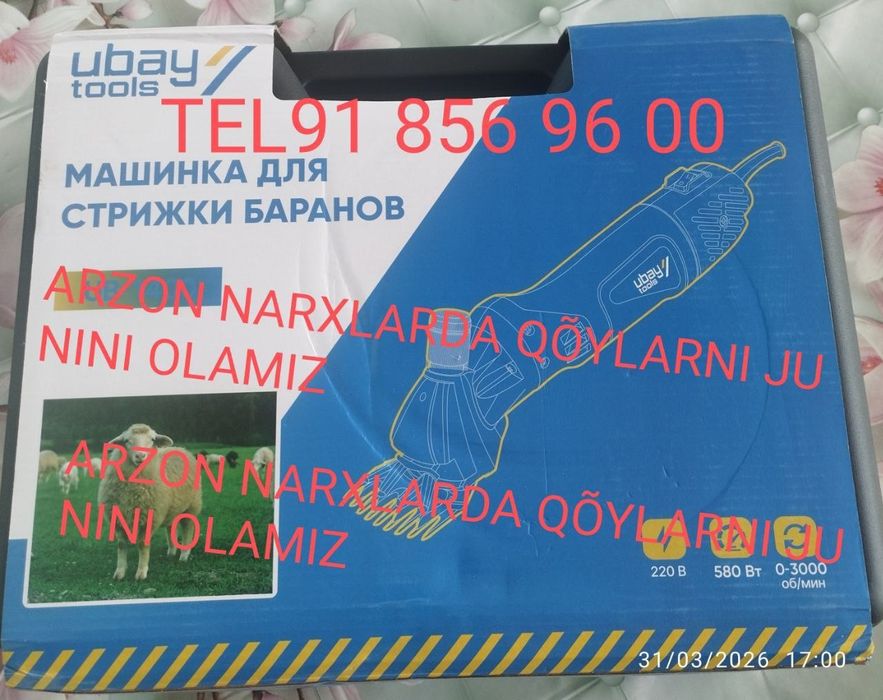 Biton teshish kesish xizmati