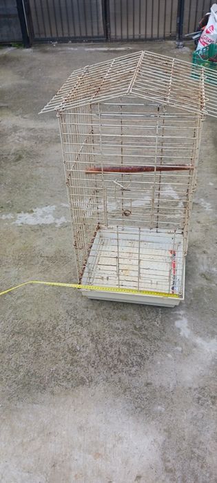 Vind cușcă papagali micul  Alexander