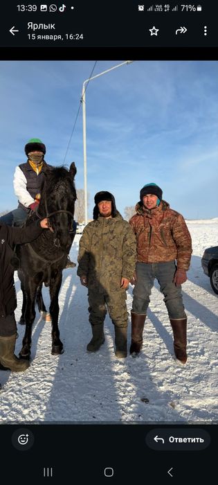 Продам жеребца 6лет