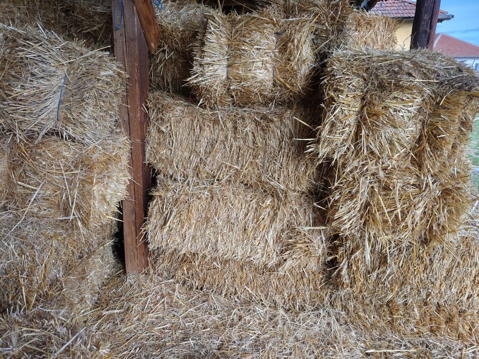 Бали пшенична слама