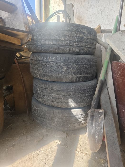 шина triangle шина