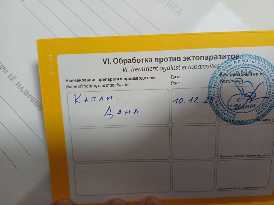 Продам немецкого шпица