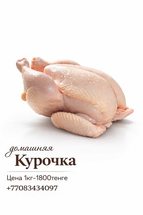 Домашняя курочка