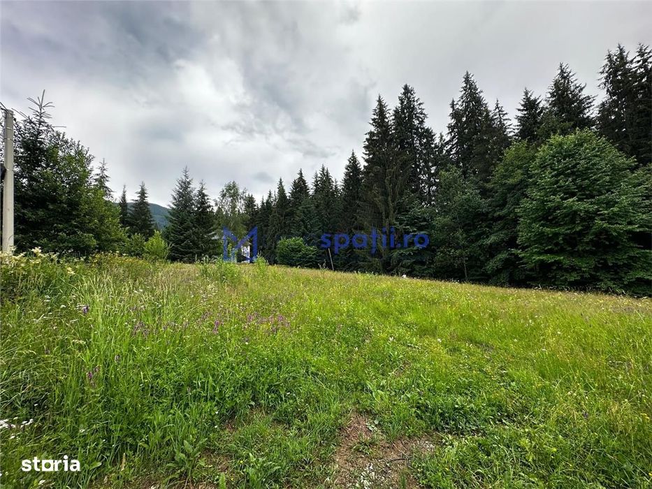 Teren in Statiunea Durau, Ceahlau, 1046mp, str. Stejarului