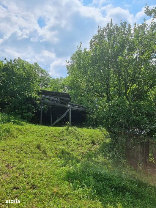 Teren intravilan cu livada 9000mp - zona Valenii de Munte