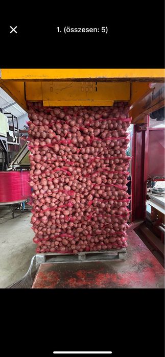 cartofi roșu Bellaroza