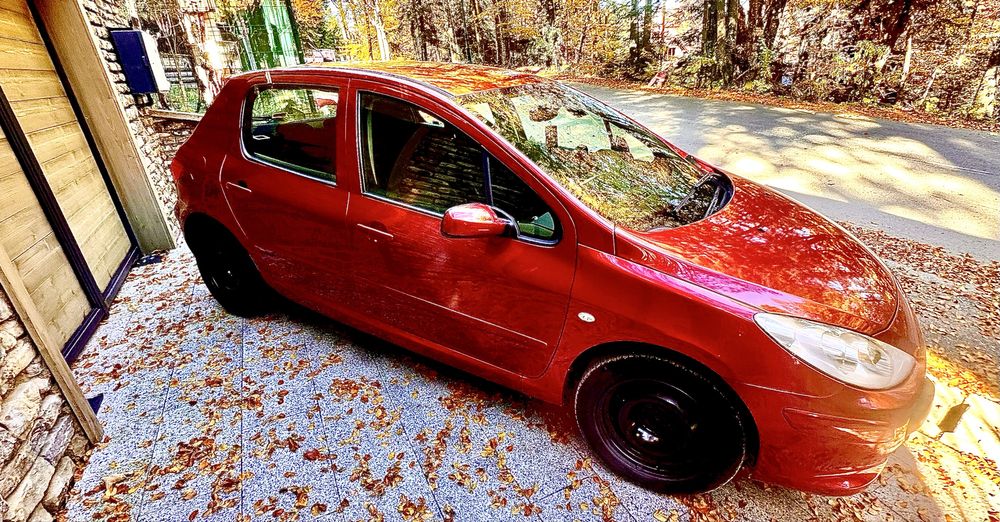 Vand Peugeot 307 1,6 HDI