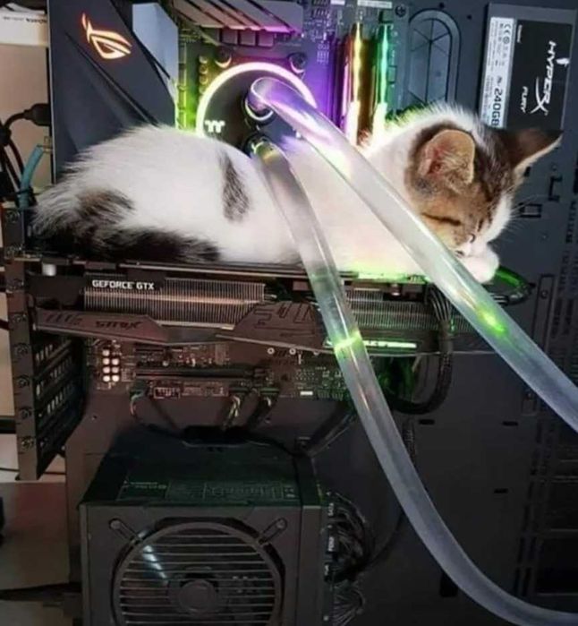 Программист Установка Windows Антивирус Ремонт Компьютеров Ноутбуков