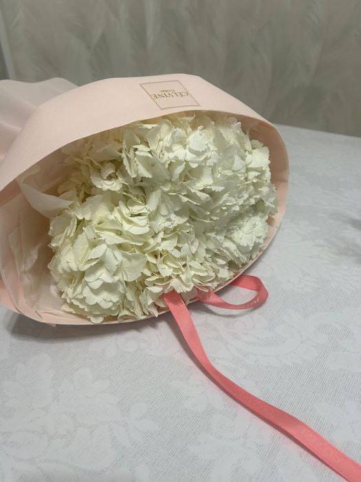 цветы в хорошем состоянии